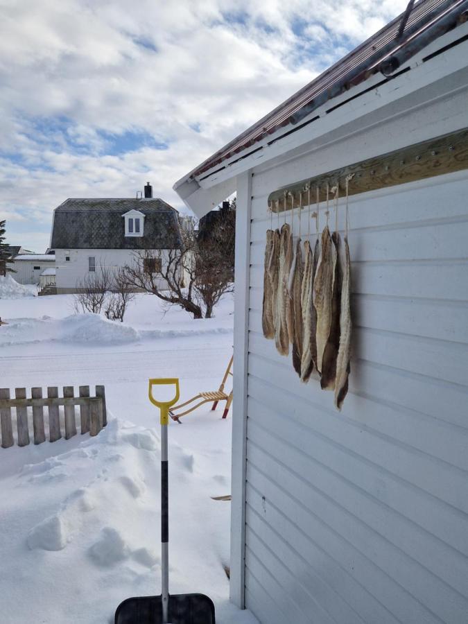 Roligheten Lodge In Andenes Exterior foto